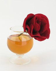 Image showing Rose and Brandy