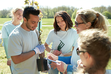 Image showing group of volunteers with tree seedlings in park