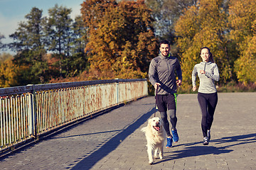 Image showing happy couple with dog running outdoors