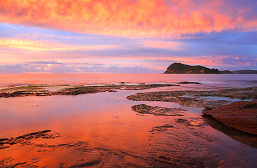 Image showing Stunning red sunrise over Lion Island from Pearl Beach