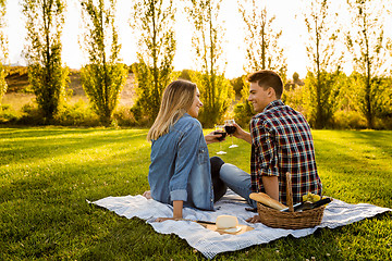 Image showing Making a summer picnic