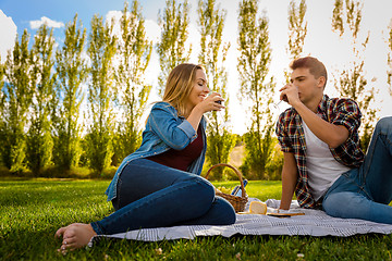 Image showing Just us and a picnic