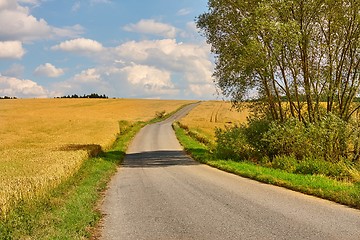 Image showing Road through farmlands