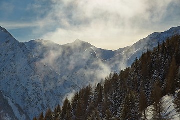 Image showing Skiing slopes from the top