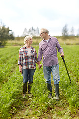 Image showing happy senior couple at summer farm