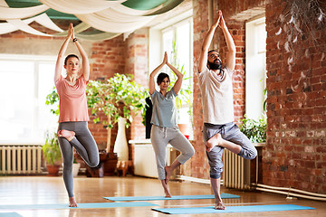 Image showing group of people doing yoga tree pose at studio