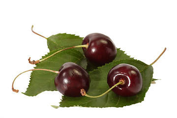 Image showing Black Cherries