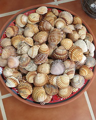 Image showing Snail houses