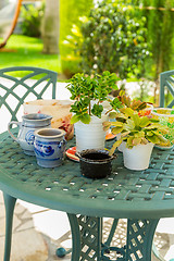 Image showing Outdoor patio with plants