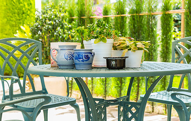 Image showing Outdoor patio with plants