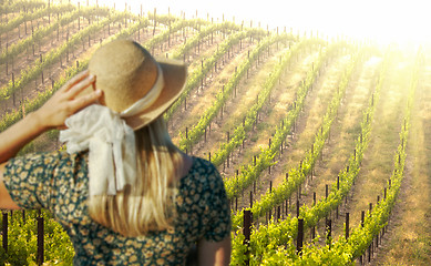 Image showing Beautiful Woman Strolling at a Winery