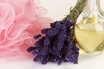Image showing Lavender Spa