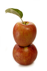 Image showing Two Red Apples