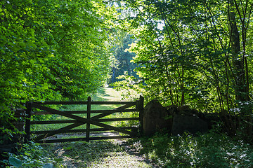 Image showing Old wooden gate in a lush greenery