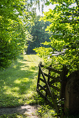 Image showing Green landscape with an old wooden gate