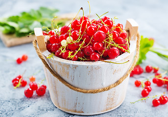 Image showing red currant