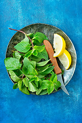 Image showing fresh mint