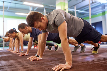 Image showing group of people doing straight arm plank in gym