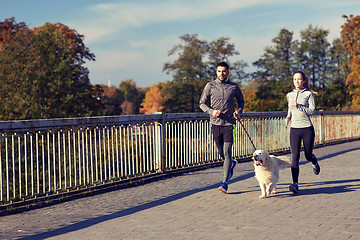 Image showing happy couple with dog running outdoors