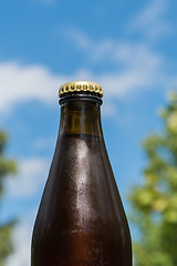 Image showing Cool beer bottle by a blue sky