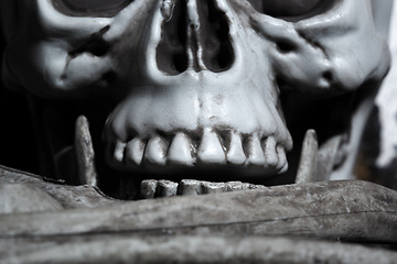 Image showing Close-up view of the human skull