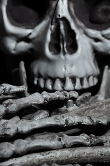 Image showing Close-up view of the human skull