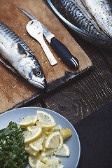 Image showing Fish food preparation