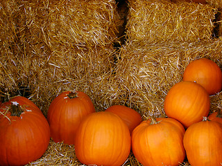 Image showing Pumpkins and hay