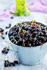 Image showing black currant