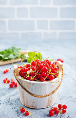 Image showing red currant