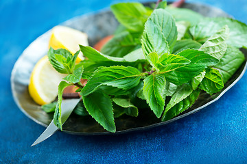 Image showing fresh mint