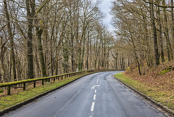 Image showing Empty Road in a Forest