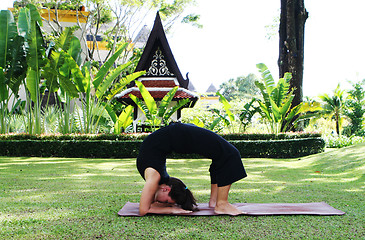 Image showing Yoga