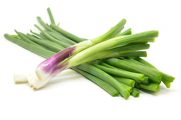 Image showing Fresh spring onions