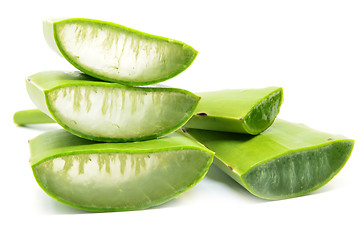 Image showing Aloe vera fresh leaf isolated