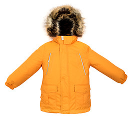 Image showing Warm jacket isolated