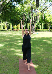 Image showing Yoga in the park.