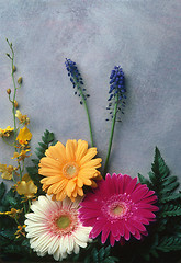 Image showing Flowers laid against a painted canvas backdrop
