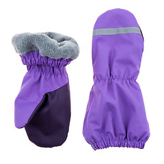 Image showing Children\'s autumn-winter mittens