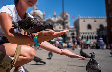 Image showing Woman tourist feeding pigeons in the square - St. Marks Square -