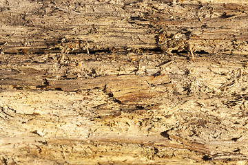 Image showing old split wood