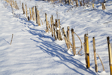 Image showing field covered with snow