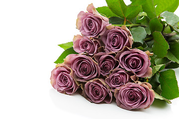 Image showing Beautiful tea rose flowers