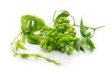 Image showing Bunch of green wild grapes