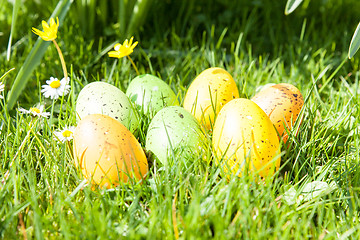 Image showing colored Easter eggs hidden in flowers and grass