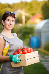 Image showing Woman holding box with tomatoes