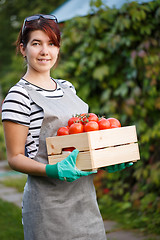 Image showing Happy woman with tomato harvest