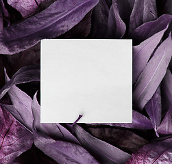 Image showing Background of dry purple leaves