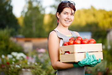 Image showing Brunette holding box with tomatoes