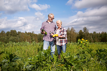 Image showing happy senior couple on squash garden bed at farm